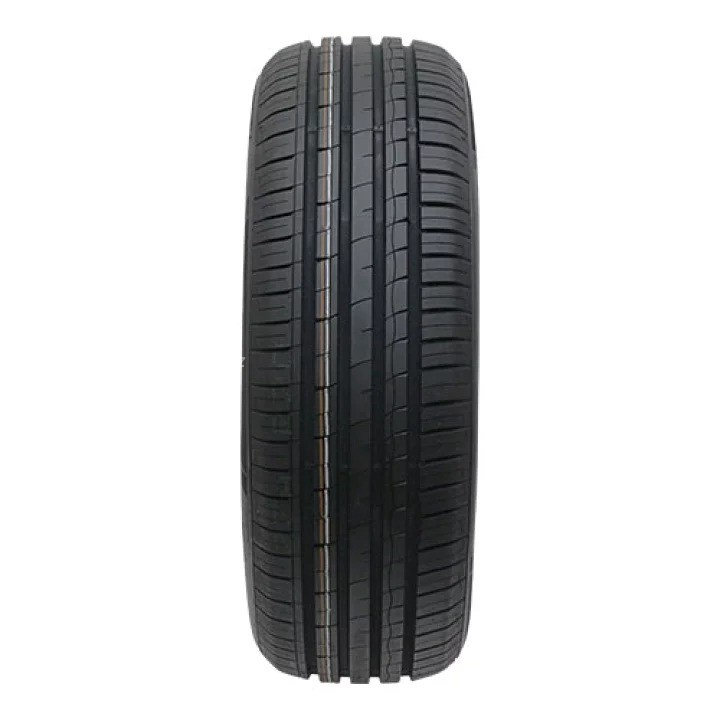 Minerva F209 205/55R16