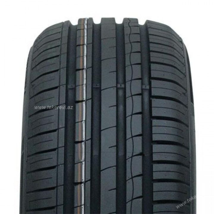 Minerva F209 205/55R16